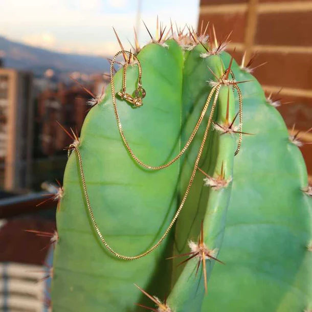 Cadena con baño de oro + dije de regalo ultimas unidades